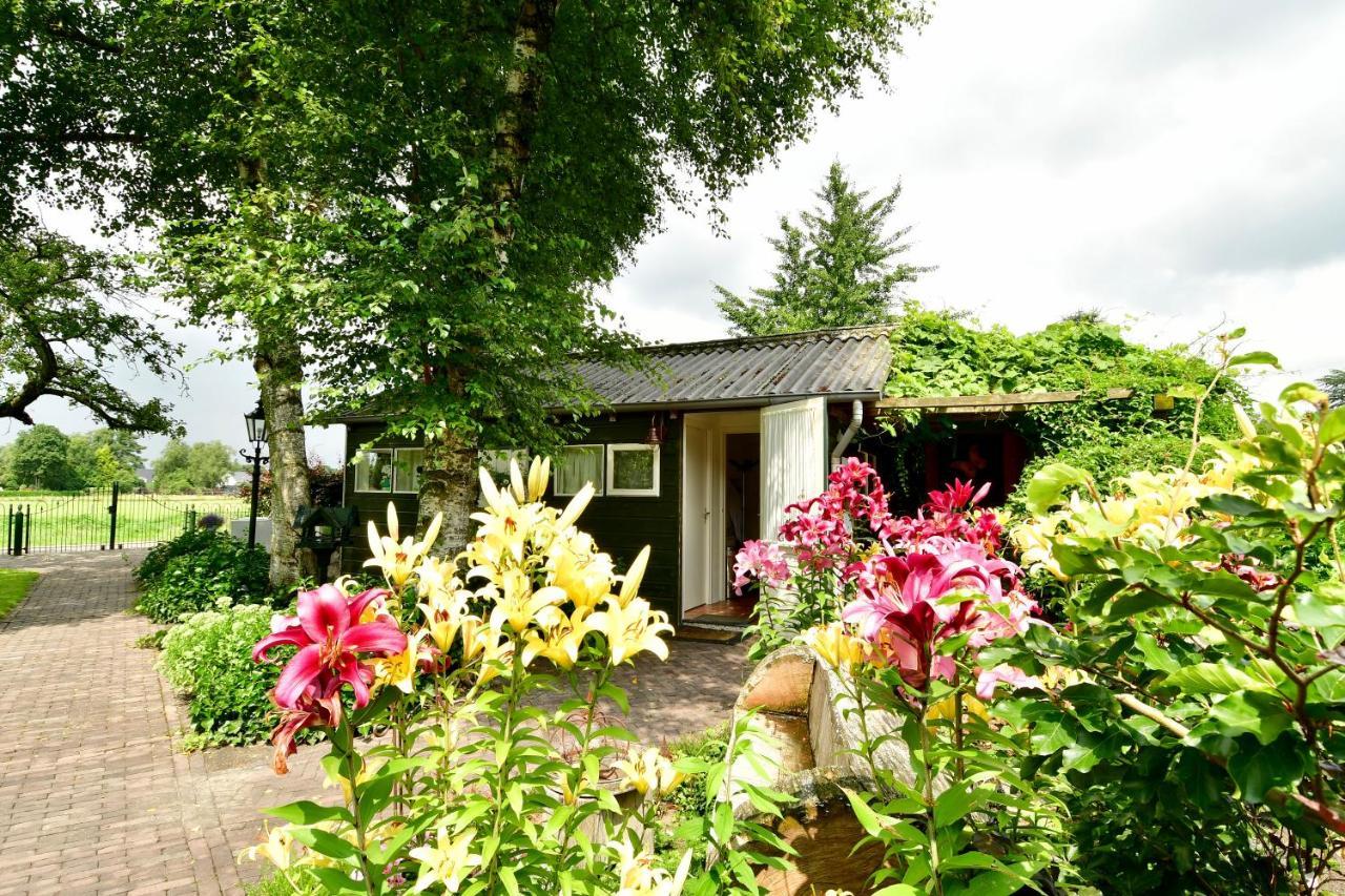 Hollandscheveld德菲尔德林旅馆住宿加早餐旅馆 外观 照片